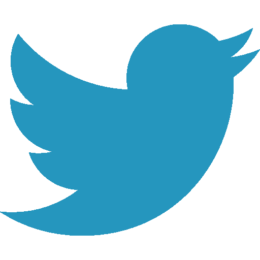 Twitter Main Icon