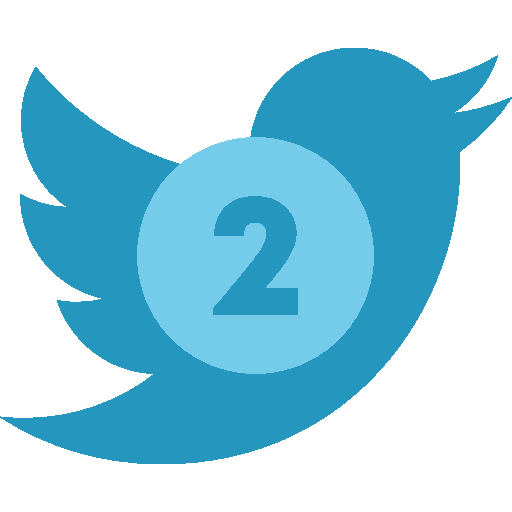 Twitter Backup Icon